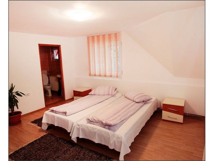 Camere de inchiriat Casa Moldovan, Izvoru Muresului - imaginea 