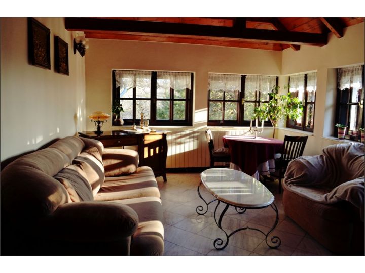 Vila Castelul Maria, Banpotoc - imaginea 