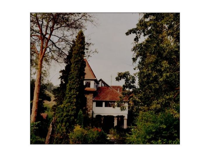 Vila Castelul Maria, Banpotoc - imaginea 
