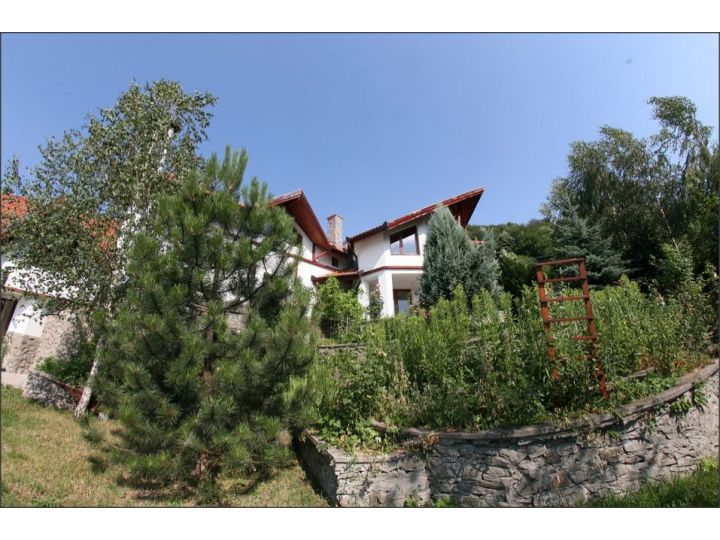 Vila Anastasia, Certeju De Sus - imaginea 