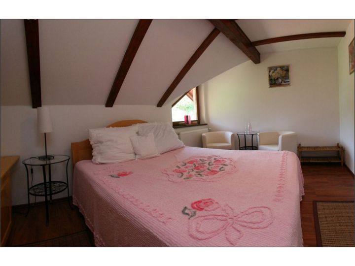 Vila Anastasia, Certeju De Sus - imaginea 