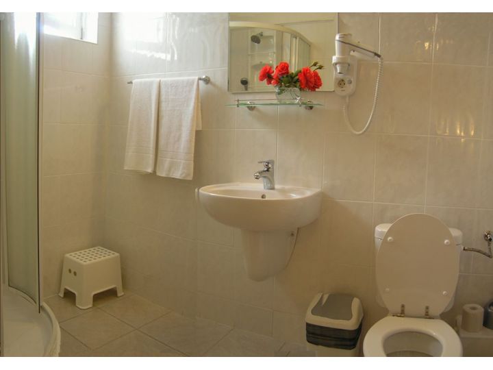 Vila Brusseles, Deva - imaginea 