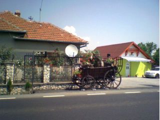 Pensiunea Mariion, Gothatea - 3