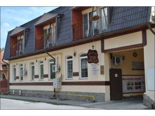Pensiunea Vila Veche, Hateg - 2