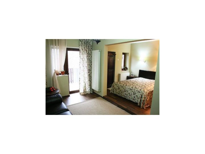 Motel Cincis, Cincis-Cerna - imaginea 