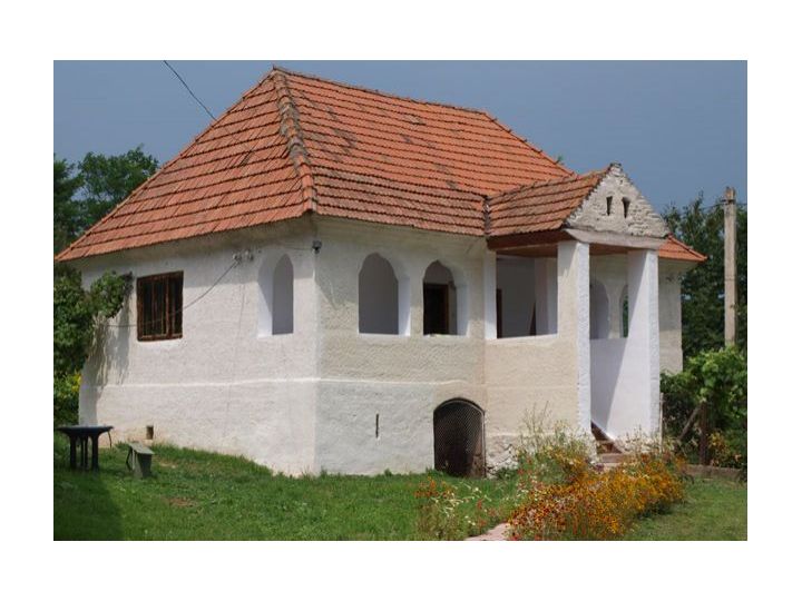 Pensiunea Zamolxe, Sarmizegetusa - imaginea 