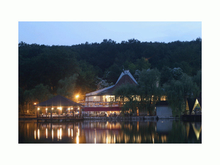 Hotel Ciric, Iasi oras - imaginea 