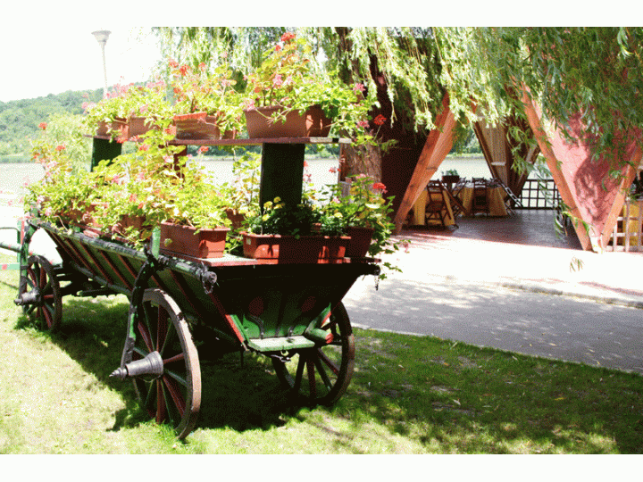 Hotel Ciric, Iasi oras - imaginea 