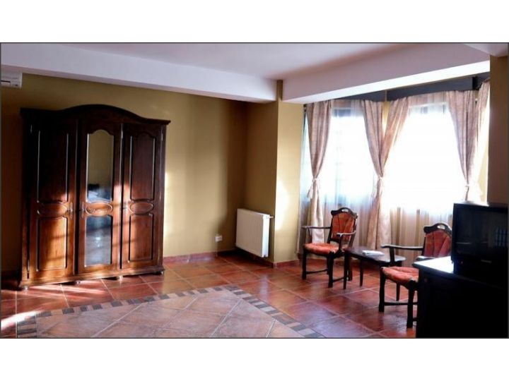 Pensiunea Lavric, Iasi oras - imaginea 